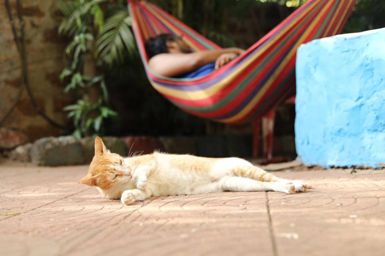 Goanvibes Hostel Anjuna Luaran gambar