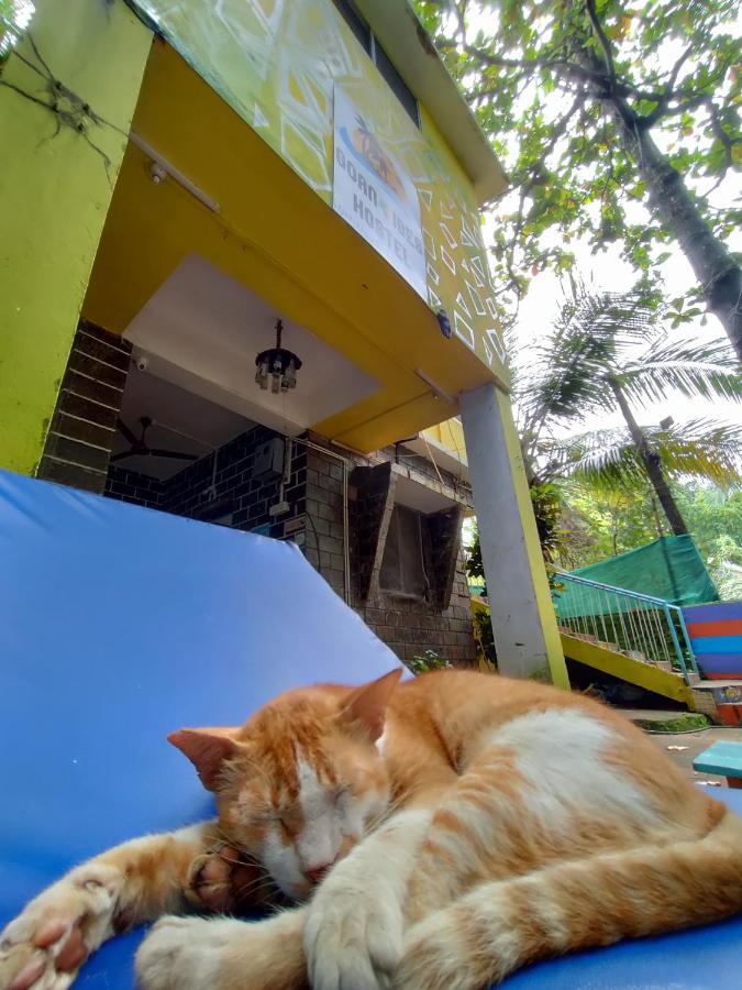Goanvibes Hostel Anjuna Luaran gambar