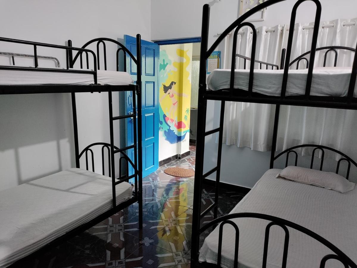 Goanvibes Hostel Anjuna Luaran gambar